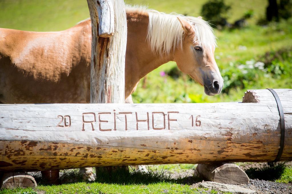 Отель Almhof-Reithof Pitztal Санкт-Леонхард-им-Пицталь Экстерьер фото